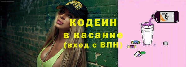 шишки Алексин