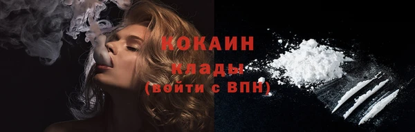 стаф Касимов