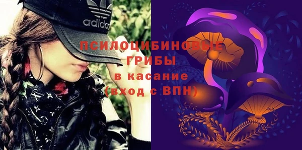 ГАЛЛЮЦИНОГЕННЫЕ ГРИБЫ Алексеевка