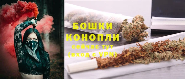 шишки Алексин
