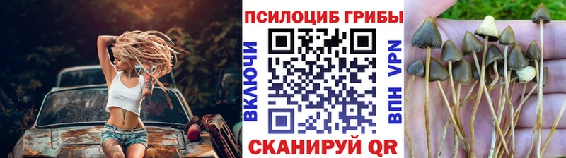 hydra   Сорочинск  Галлюциногенные грибы Magic Shrooms  закладка 