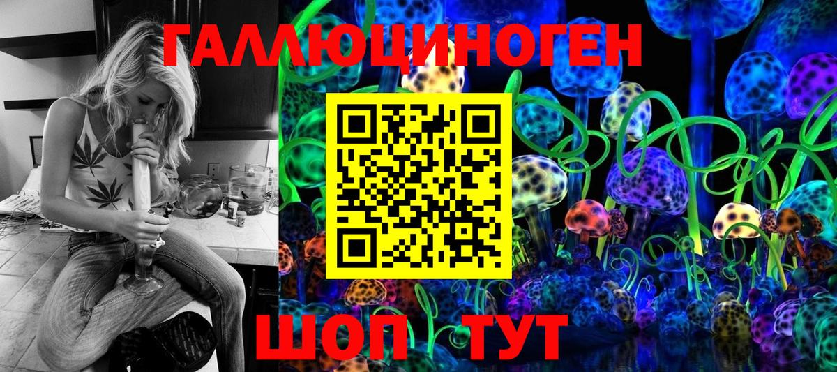 Сорочинск  Псилоцибиновые грибы мицелий  Вход с VPN 