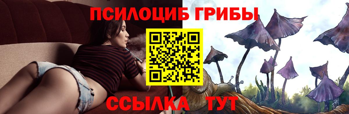 Галлюциногенные грибы Magic Shrooms Сорочинск